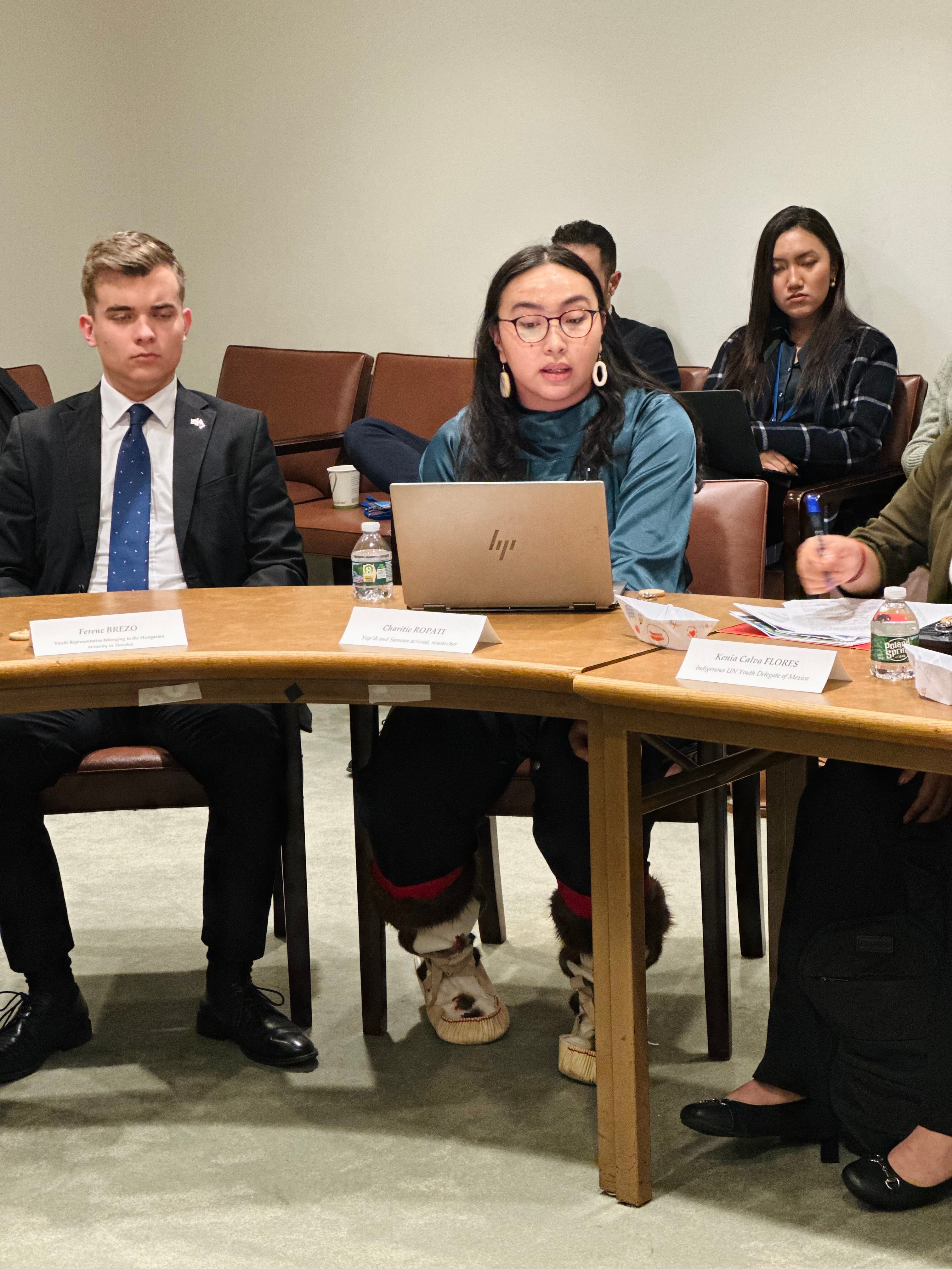 Panel discussion at the United Nations with youth delegates